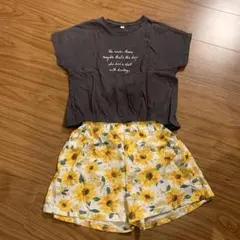 Tシャツ　ズボン　上下セット　2点セット