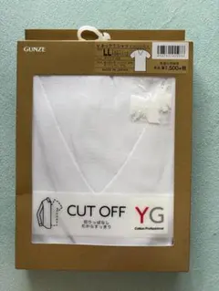 GUNZE YG VネックTシャツ