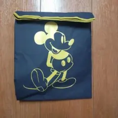 ミッキーマウス レインコート サイズ110