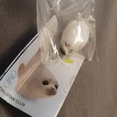 アザラシ マスコット キーホルダー