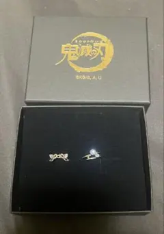 Item thumbnail for item e8a98ac4-09df-4c0a-aebd-6a53b560f215