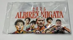 アルビレックス新潟　ガラポン　フェイスタオル