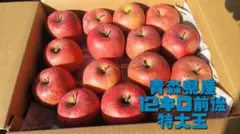 りんご　青森県産　特大玉　葉取らずサンふじ 2段詰め　完熟　お買い得　家庭用