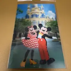 ミッキー・ミニーポストカード 東京ディズニーランド