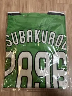 Item thumbnail for item 4ef27776-3c4c-4da3-aa6b-545a9088a0d3