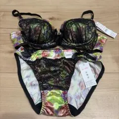 エメフィール　廃盤商品　愛美菲露 ブラジャーショーツセット B75 マルチカラー