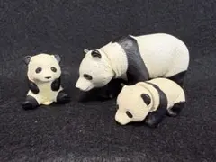 2026年最新】上野動物園の人気アイテム - メルカリ