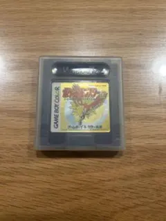 ポケットモンスター 金 ゲームボーイカラー用 ケース付き