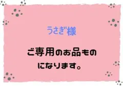 うさぎ様ご専用です。樹脂フックピアス