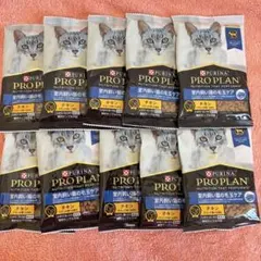 Item thumbnail for item 10113917-48af-47a0-b335-c6af03c9a458