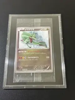 レックウザ 100/XY-P イラストコレクション　Rayquaza 未開封