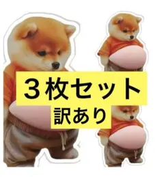 【訳あり】お腹ぷにぷにシール　3枚セット　柴犬 ステッカー