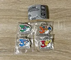 【匿名配送】ポケモン30周年　メタルチャームマスコット　セット売り