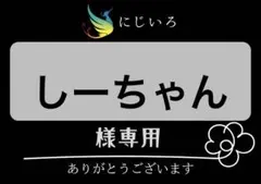 しーちゃん様専用