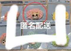 プネクド　シュシュ　ソンホ　台湾限定 boynextdoor BBNEXDO