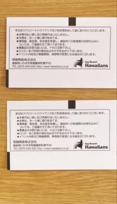 ハワイアンズ　入場券12枚 メルカリ