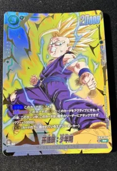 2026年最新】孫悟飯少年期 パラレルの人気アイテム - メルカリ