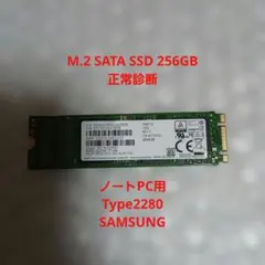 SAMSUNG M.2 SATA SSD 256GB Type2280 正常診断