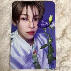 NCTWISH songbird シオン トレカ