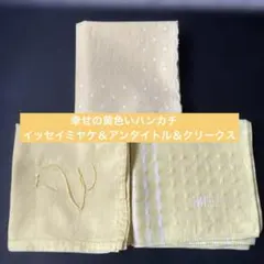 黄色いハンカチ✨イッセイミヤケ＆アンタイトル＆クリークスのサムネイル