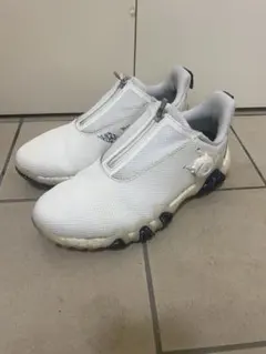 Item thumbnail for item e0d97a77-24cf-439c-b773-1bdc8d59dd9b