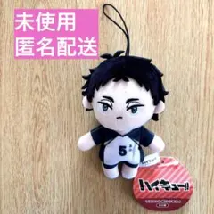 Item thumbnail for item f0ba5f0e-190e-4487-a310-36926cddaeb1