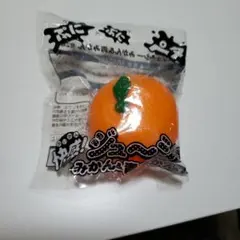 快感ジューシーみかん＆青みかん