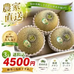 農家直送 厳選メロン 3玉入り ギフトのサムネイル
