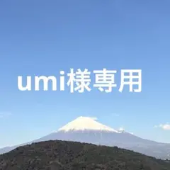 UNIQLO ブラ 2枚セット