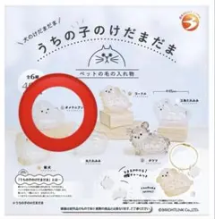 うちの子のけだまだま　犬のけだまだま　ポメラニアン