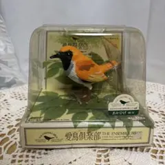 希少‼️ 愛鳥倶楽部 鳴く鳥 うそ 鷽 - メルカリ