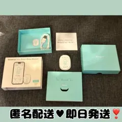 Item thumbnail for item 422e516e-c57f-4970-9a7d-3fce1a44a871