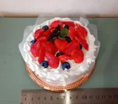 いちごのホールケーキ♥フェイクスイーツ