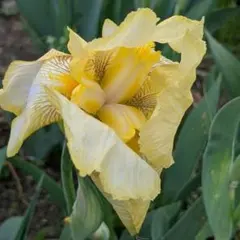 YUKIKO様 リクエスト 3点 まとめ商品