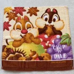 チップとデールのディズニータオル