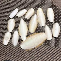 Item thumbnail for item 86f80d1b-3d74-459c-aba4-1c2035445522