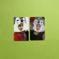 Stray Kids SKZOO トレカ バンチャン Bang Chan