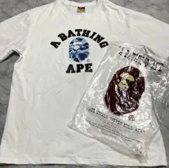 Item thumbnail for item e6732669-be8f-4d05-a1a9-27610eb0748d