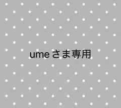 ume様 リクエスト 2点 まとめ商品