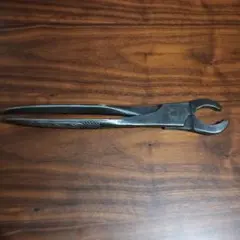 Item thumbnail for item 521c41ab-267f-40cf-abdc-bfbe8f0a7b95