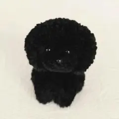手のひらサイズ お座りポンポン プードル ハンドメイド ぬいぐるみ ブラック 黒のサムネイル