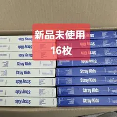 【計16枚】straykids KARMA 新品未開封 アルバム 2種 16枚