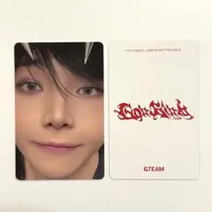 &TEAM ニコラス トレカ ベイビーウルフ 月狼 ソロジャケット盤 封入