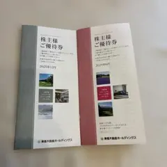 株主様ご優待券 東急不動産ホールディングス