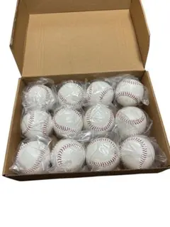 Item thumbnail for item 4e94e477-88f9-45ff-912c-5aeda0259c8e