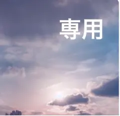 専用