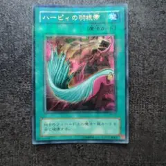 2026年最新】ハーピィの羽根帚の人気アイテム - メルカリ