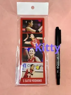 バレーボール女子日本代表 佐藤淑乃 キーホルダー コースター その他