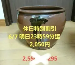 2026年最新】甕 メダカの人気アイテム - メルカリ
