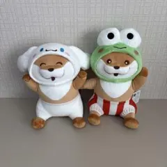 可愛い嘘のカワウソ×サンリオキャラクターズ BIGぬいぐるみ③ 全2種 コンプ